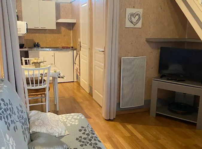 Domaine De La Meniguere 3*