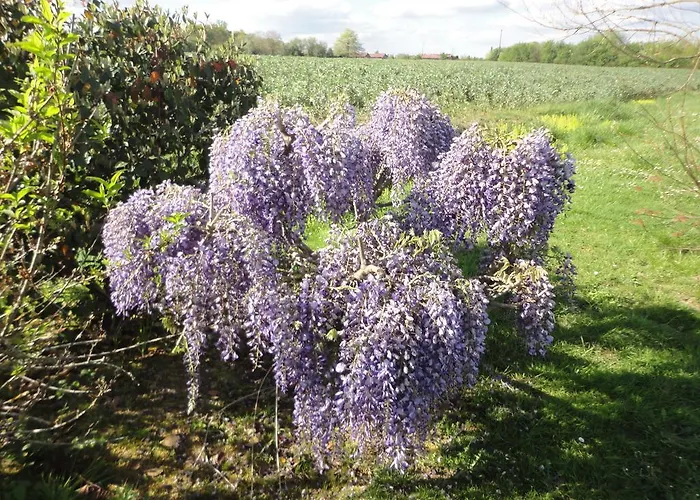 Domaine De La Meniguere Pensjonat 3*